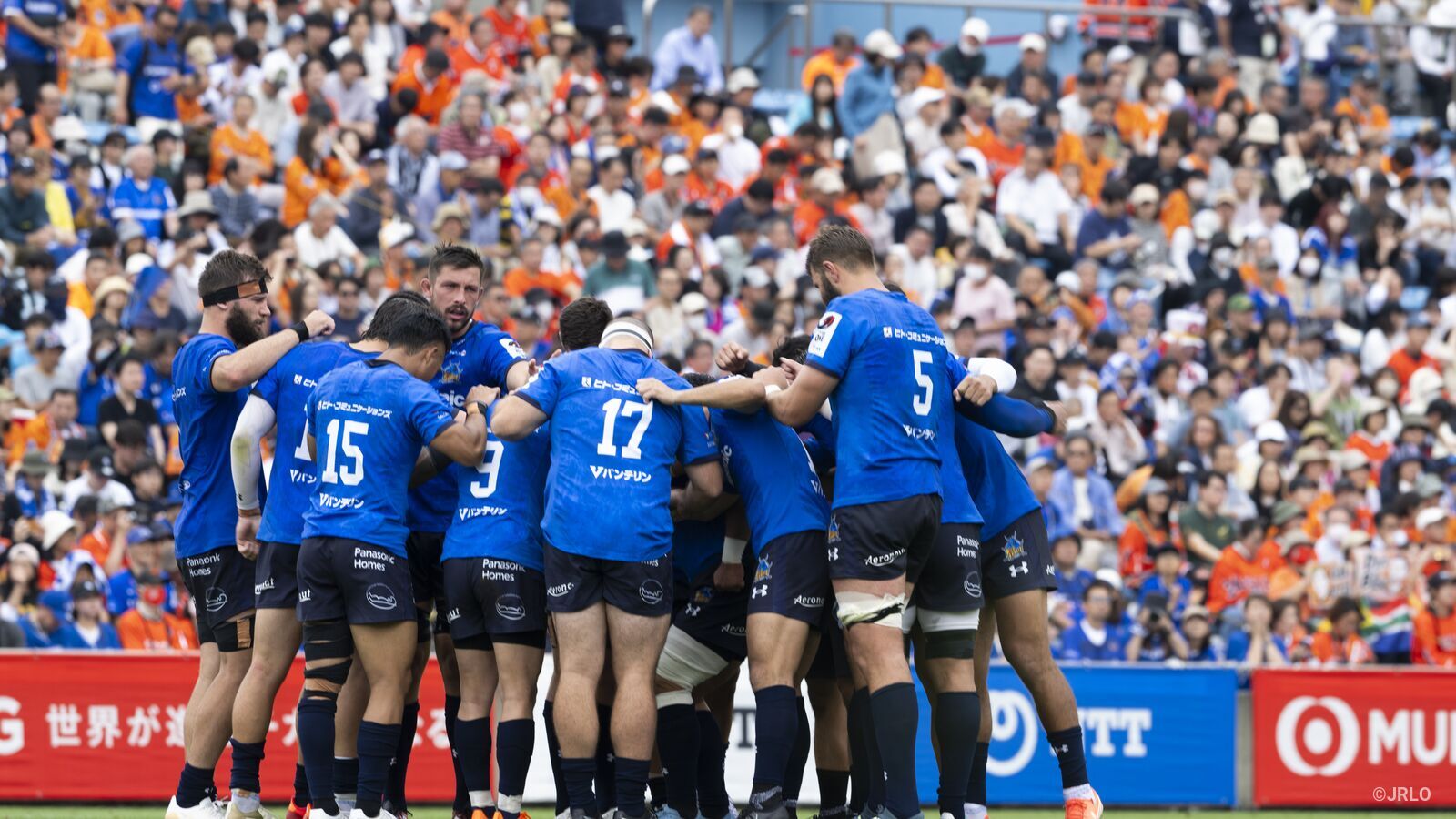 ラグビー リーグワン 埼玉ワイルドナイツ 選手支給品 ウィンド