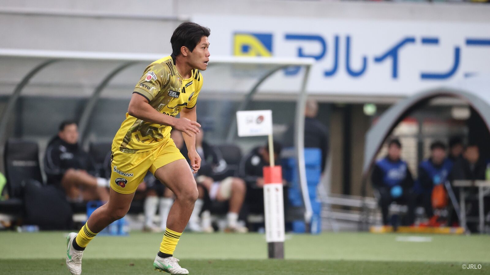 東京サントリーサンゴリアス vs トヨタヴェルブリッツ（NTTジャパン