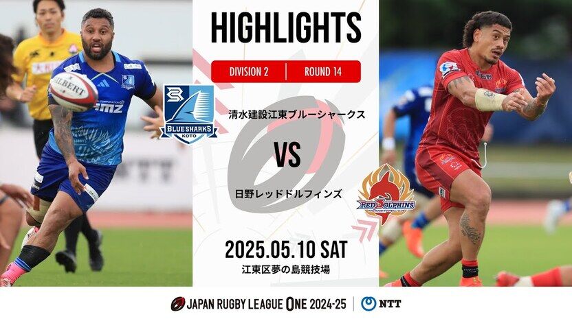 Hino Red Dolphins ジャージ 背番号3 Hino Red Dolphins ジャージ 背番号3 ニュース - 2022-23